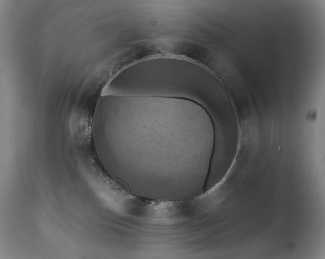 X0000112030186200908031445