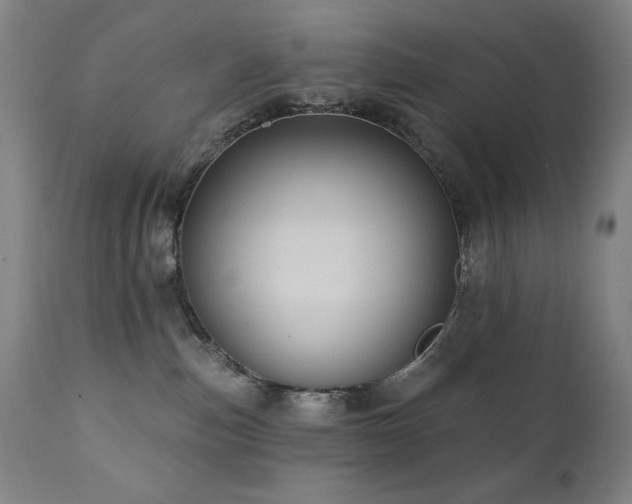 X0000112030187200908031445