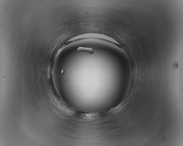 X0000112030188200908031445