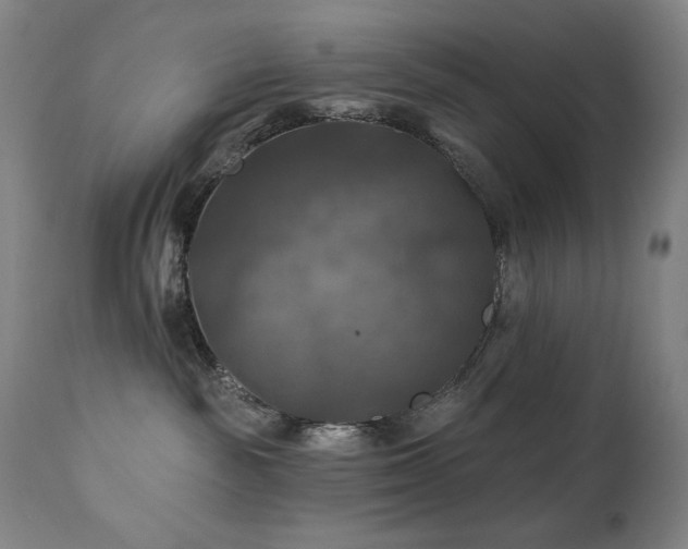 X0000112030189200908031445
