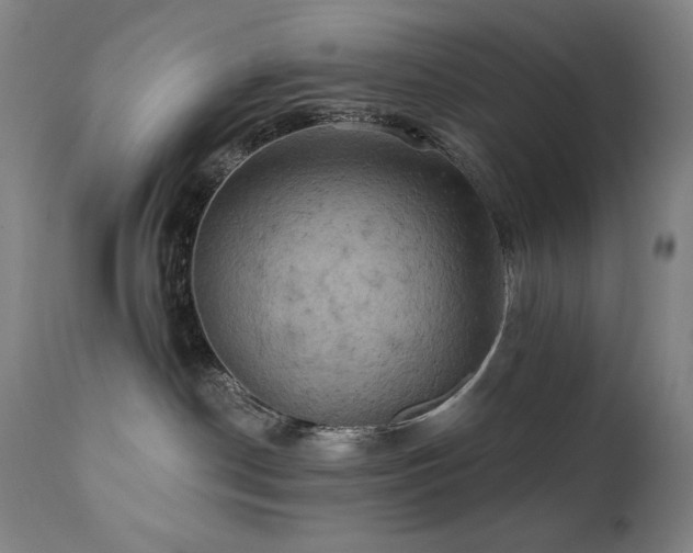 X0000112030190200908031445