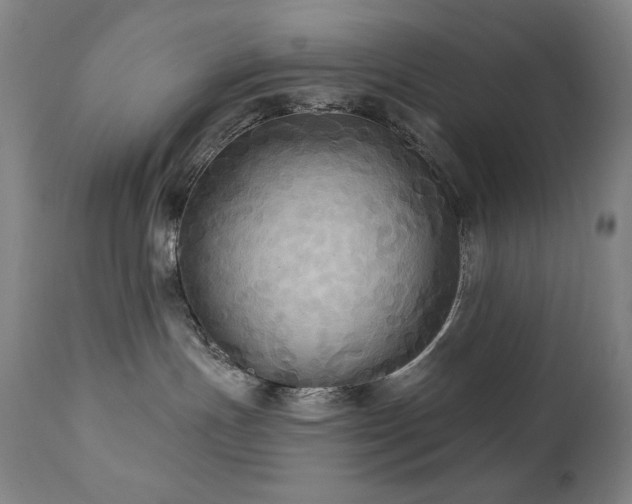 X0000112030191200908031445