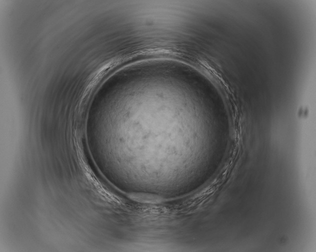 X0000112030193200908031444