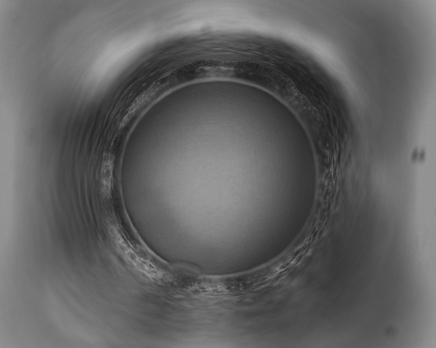 X0000112030194200908031444