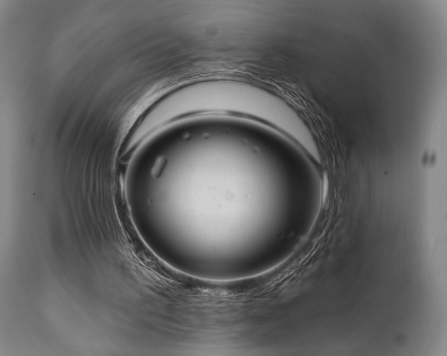 X0000112030195200908031444
