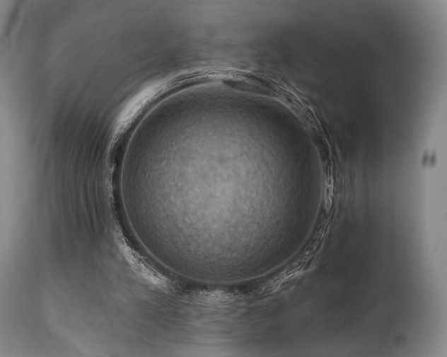 X0000112030197200908031444