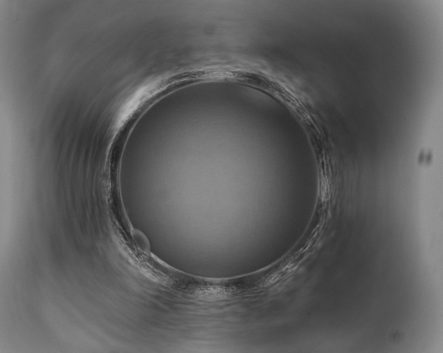 X0000112030198200908031444