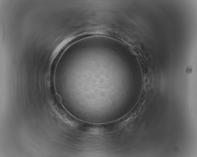 X0000112030200200908031444