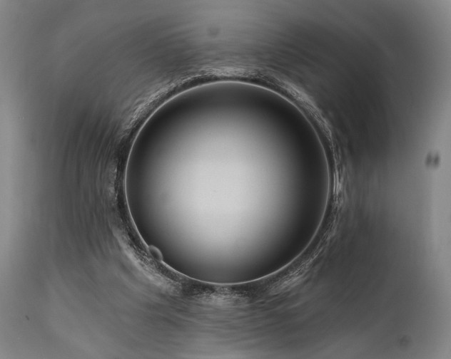 X0000112030201200908031444