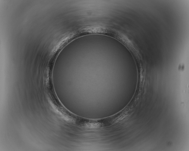 X0000112030202200908031444