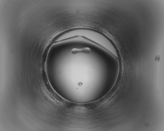 X0000112030203200908031444
