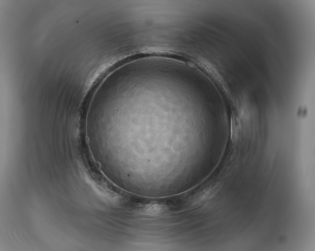 X0000112030204200908031444