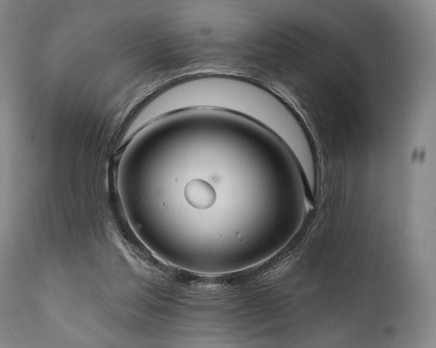 X0000112030205200908031444