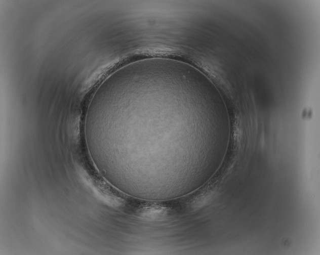X0000112030206200908031444