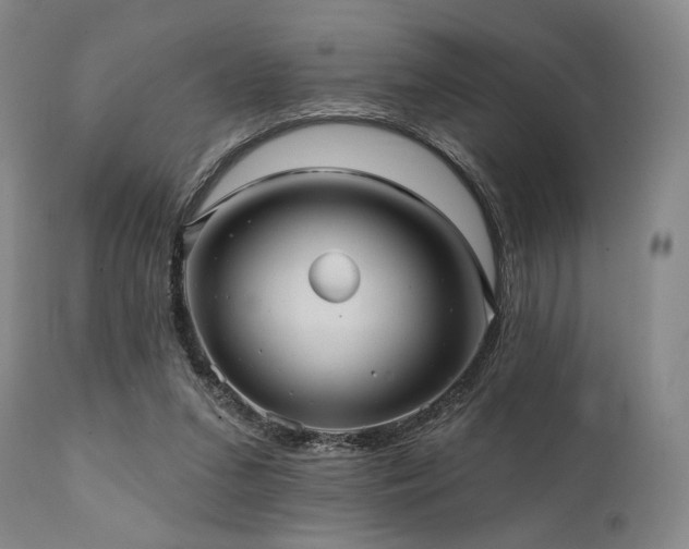 X0000112030207200908031444