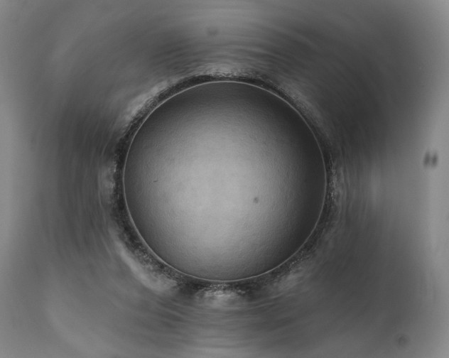 X0000112030208200908031444