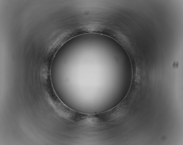 X0000112030210200908031444