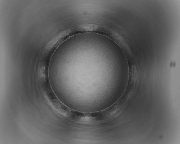 X0000112030212200908031444