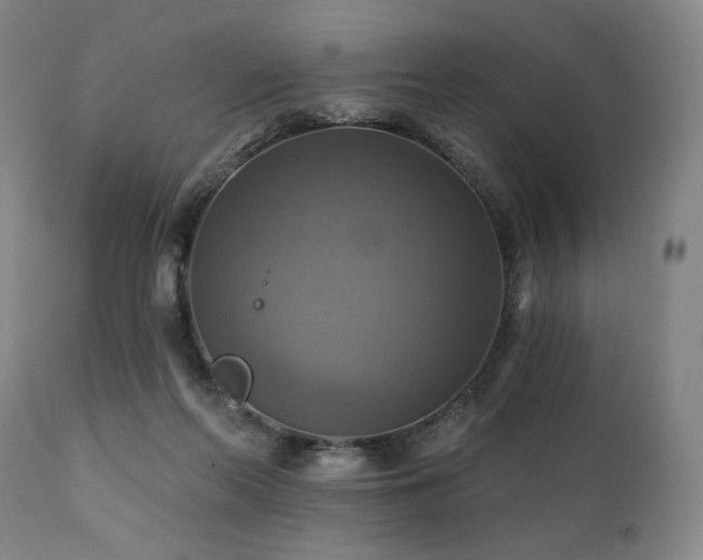 X0000112030214200908031444