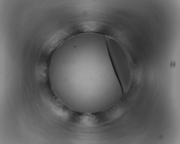 X0000112030215200908031444