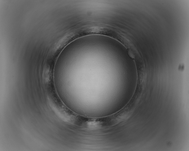 X0000112030216200908031444