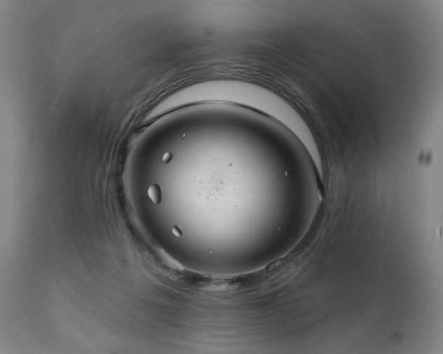 X0000112030217200908031444