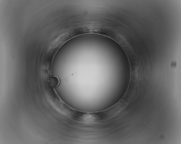 X0000112030218200908031444