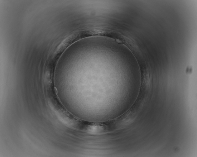 X0000112030220200908031444