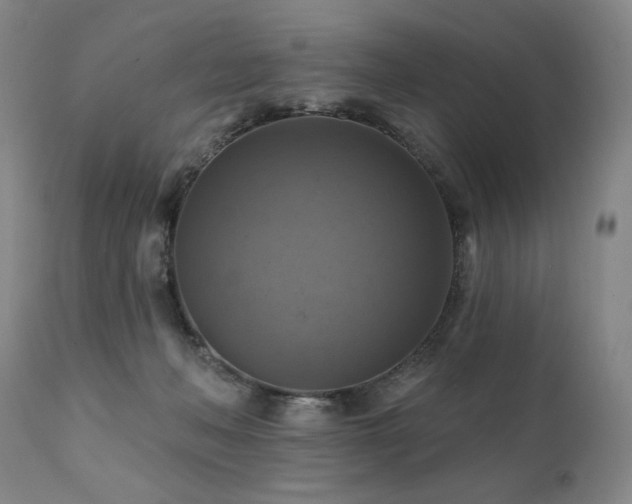 X0000112030222200908031444