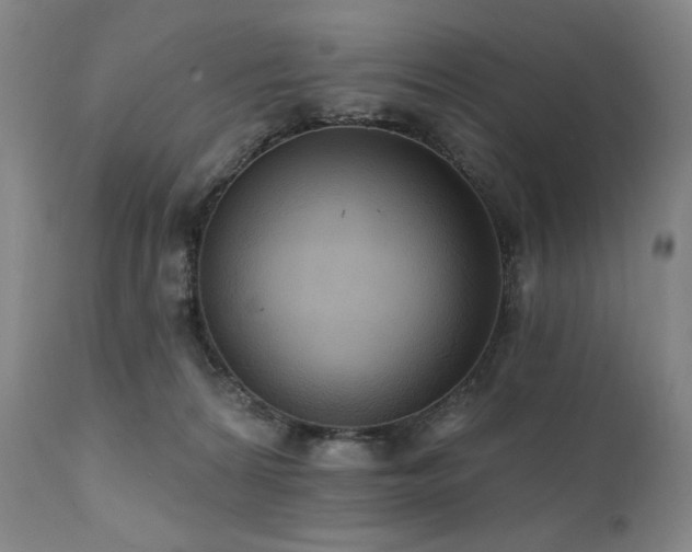 X0000112030224200908031444
