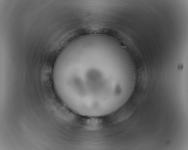 X0000112030225200908031444