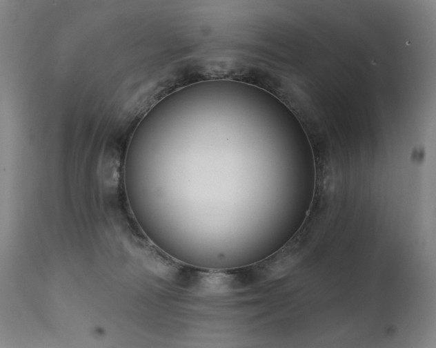 X0000112030226200908031444