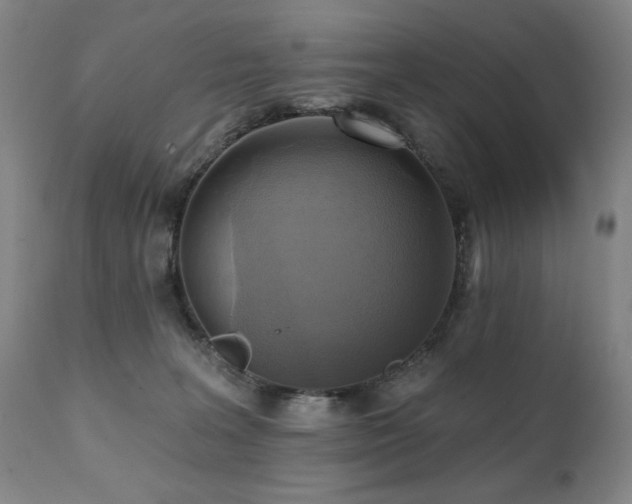 X0000112030227200908031444
