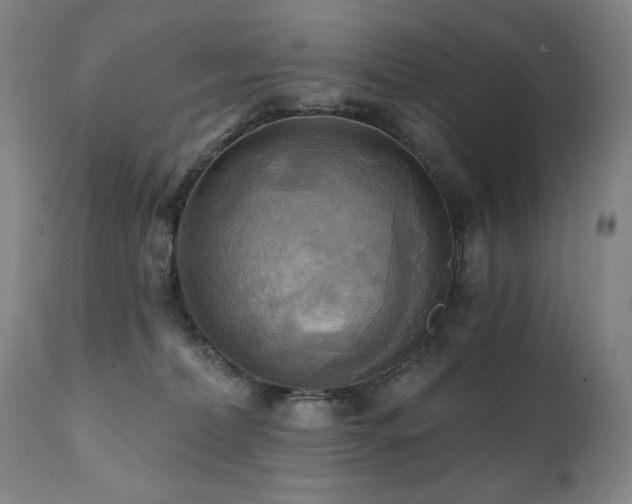 X0000112030228200908031444