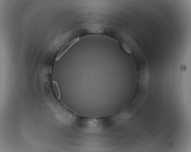X0000112030229200908031444