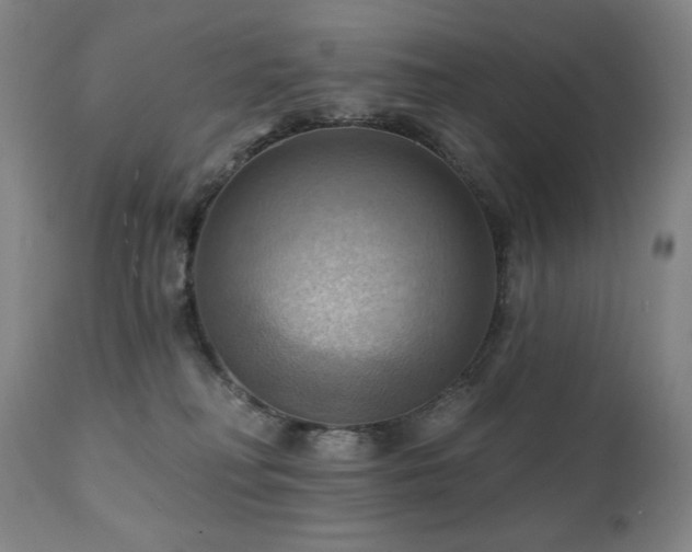 X0000112030230200908031444