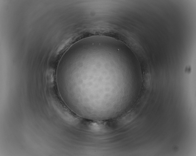 X0000112030232200908031444