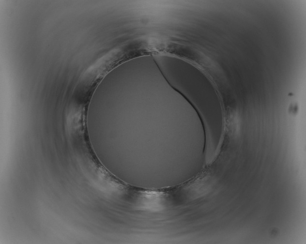 X0000112030233200908031444