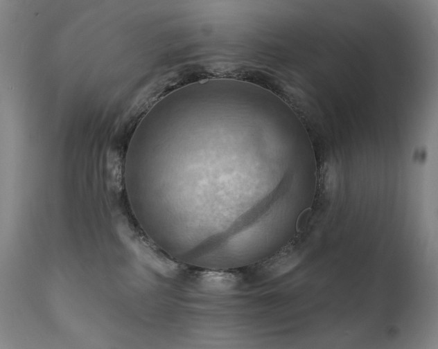 X0000112030234200908031443