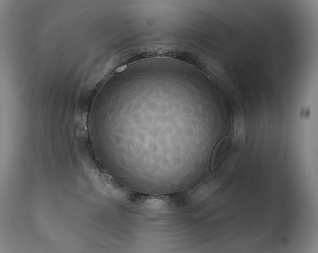 X0000112030236200908031443