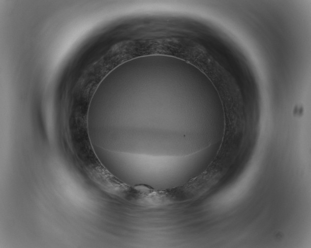 X0000112030239200908031443