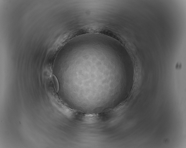 X0000112030240200908031443