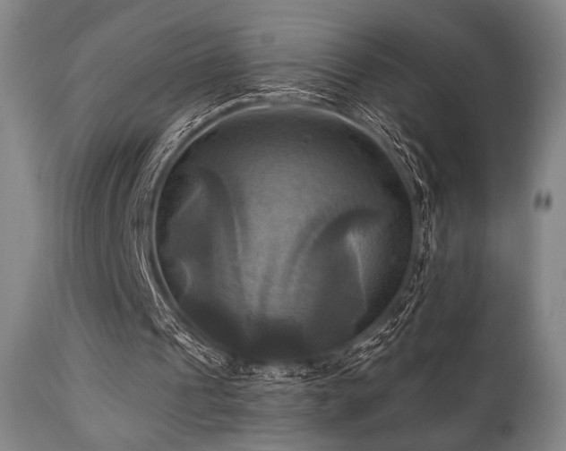 X0000112030241200908031443