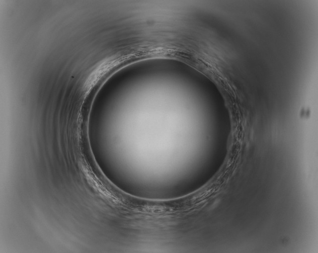 X0000112030242200908031443
