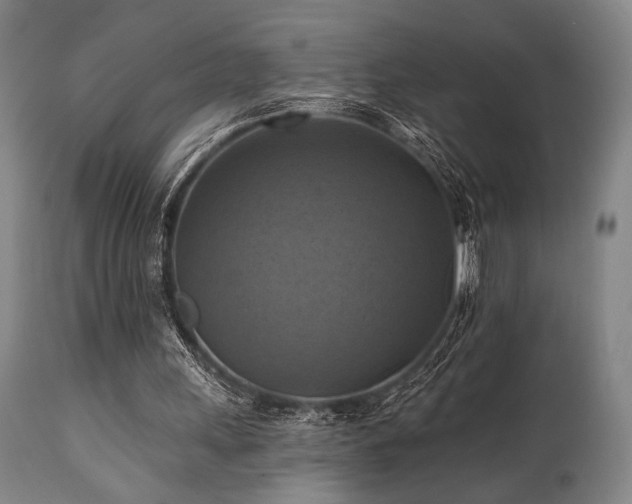 X0000112030243200908031443