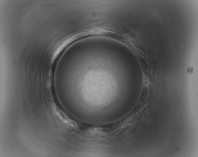 X0000112030244200908031443