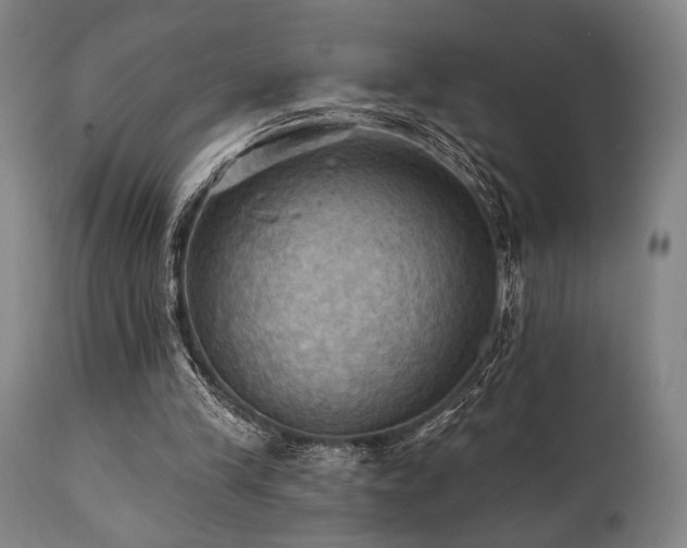 X0000112030245200908031443