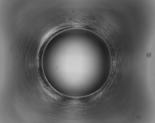 X0000112030246200908031443