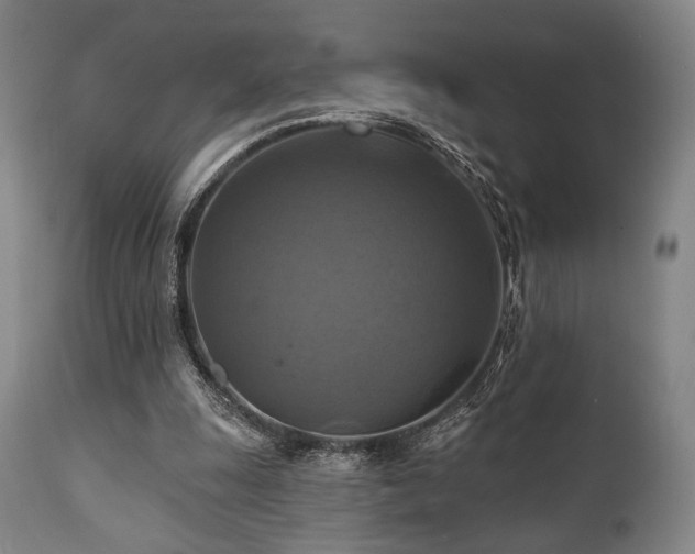 X0000112030247200908031443
