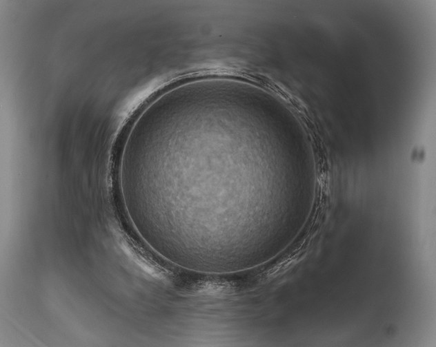 X0000112030248200908031443